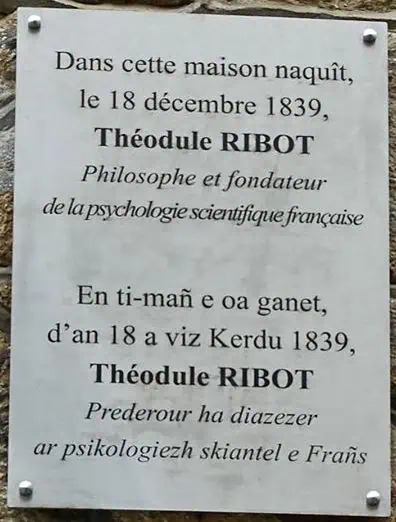 ribot1